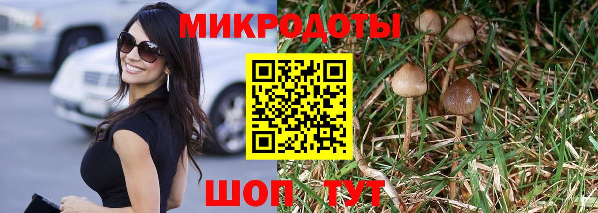 Псилоцибиновые грибы MAGIC MUSHROOMS Копейск
